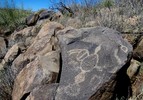 photo thumbnail #3