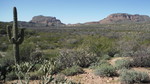 photo thumbnail #7