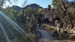 photo thumbnail #1