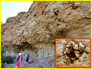 2016-03-30 :2: Wind Cave Trail #281 :: FLYING_FLIVER