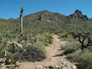 photo thumbnail #1
