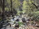 photo thumbnail #12
