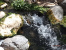 photo thumbnail #14