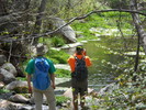photo thumbnail #11