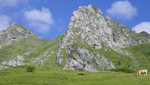photo thumbnail #10