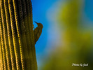 photo thumbnail #2