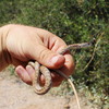 photo thumbnail #2