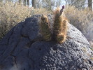photo thumbnail #8