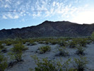 photo thumbnail #1