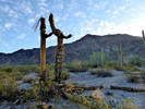 photo thumbnail #2