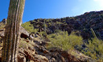 photo thumbnail #3