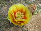 photo thumbnail #2