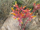 photo thumbnail #4