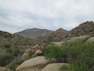 photo thumbnail #8