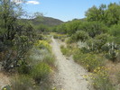 photo thumbnail #6
