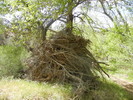photo thumbnail #7