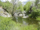 photo thumbnail #8