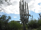 photo thumbnail #12