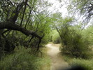 photo thumbnail #13