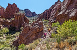 photo thumbnail #5