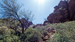 photo thumbnail #7