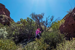 photo thumbnail #8