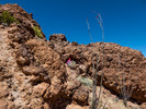 photo thumbnail #11
