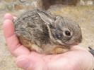 photo thumbnail #3