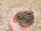 photo thumbnail #4