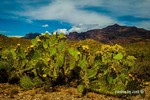 photo thumbnail #13