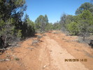 photo thumbnail #1