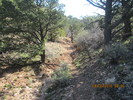 photo thumbnail #13