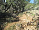 photo thumbnail #12