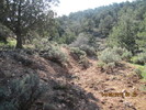 photo thumbnail #11