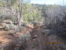photo thumbnail #8