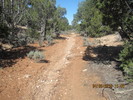 photo thumbnail #5