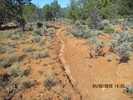 photo thumbnail #2