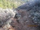 photo thumbnail #7