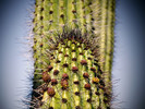 photo thumbnail #4