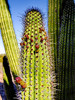 photo thumbnail #5