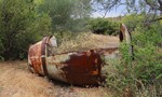 photo thumbnail #3