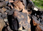 photo thumbnail #7