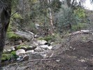 photo thumbnail #9