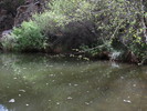 photo thumbnail #12