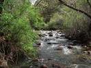 photo thumbnail #13