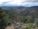 photo thumbnail #15