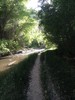 photo thumbnail #4