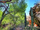 photo thumbnail #6