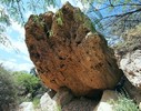 photo thumbnail #13