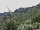 2016-04-05 :1: Cold Spring Canyon Road Hike :: Oregon_Hiker